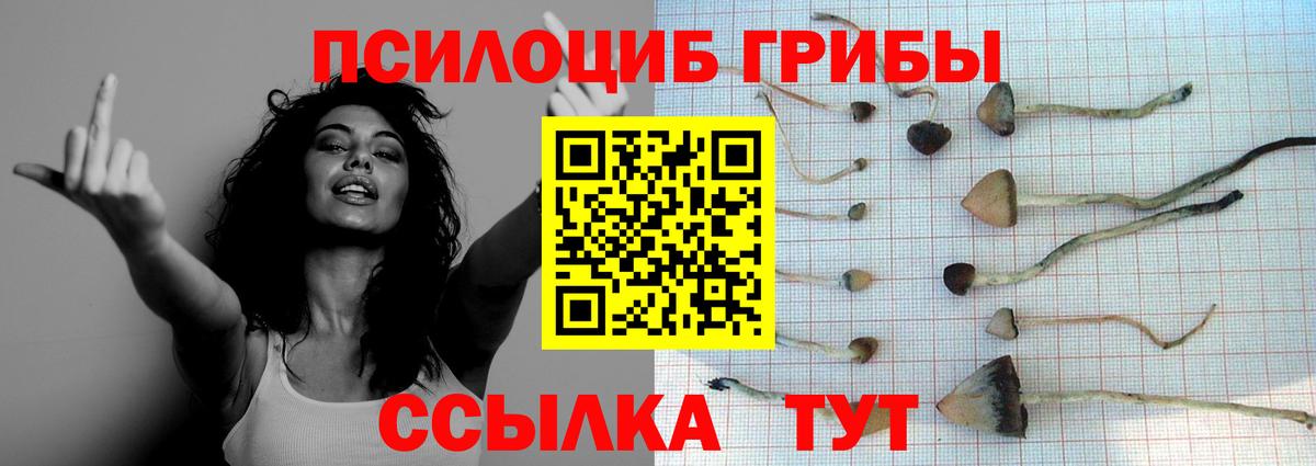 Галлюциногенные грибы прущие грибы Бор