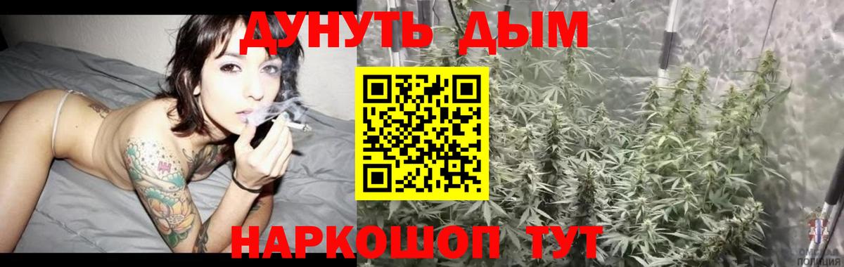 Бор  Шишки марихуана гибрид  Бошки Шишки SATIVA & INDICA  Каннабис тримм  Вход с VPN  МАРИХУАНА SATIVA & INDICA 